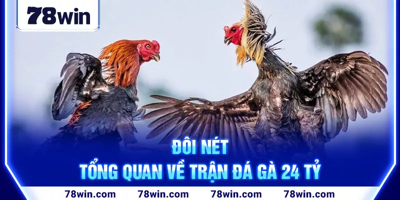 Cái nhìn tổng quát trận đá gà 24 tỷ