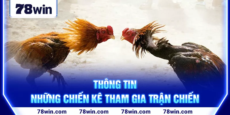 Thông tin chi tiết về hai chiến kê tham gia trận đấu