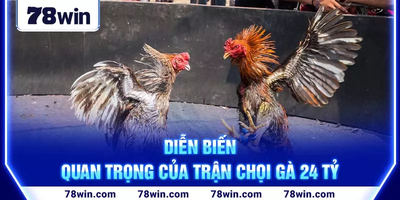 Những tình tiết đáng chú ý của trận chọi gà 24 tỷ